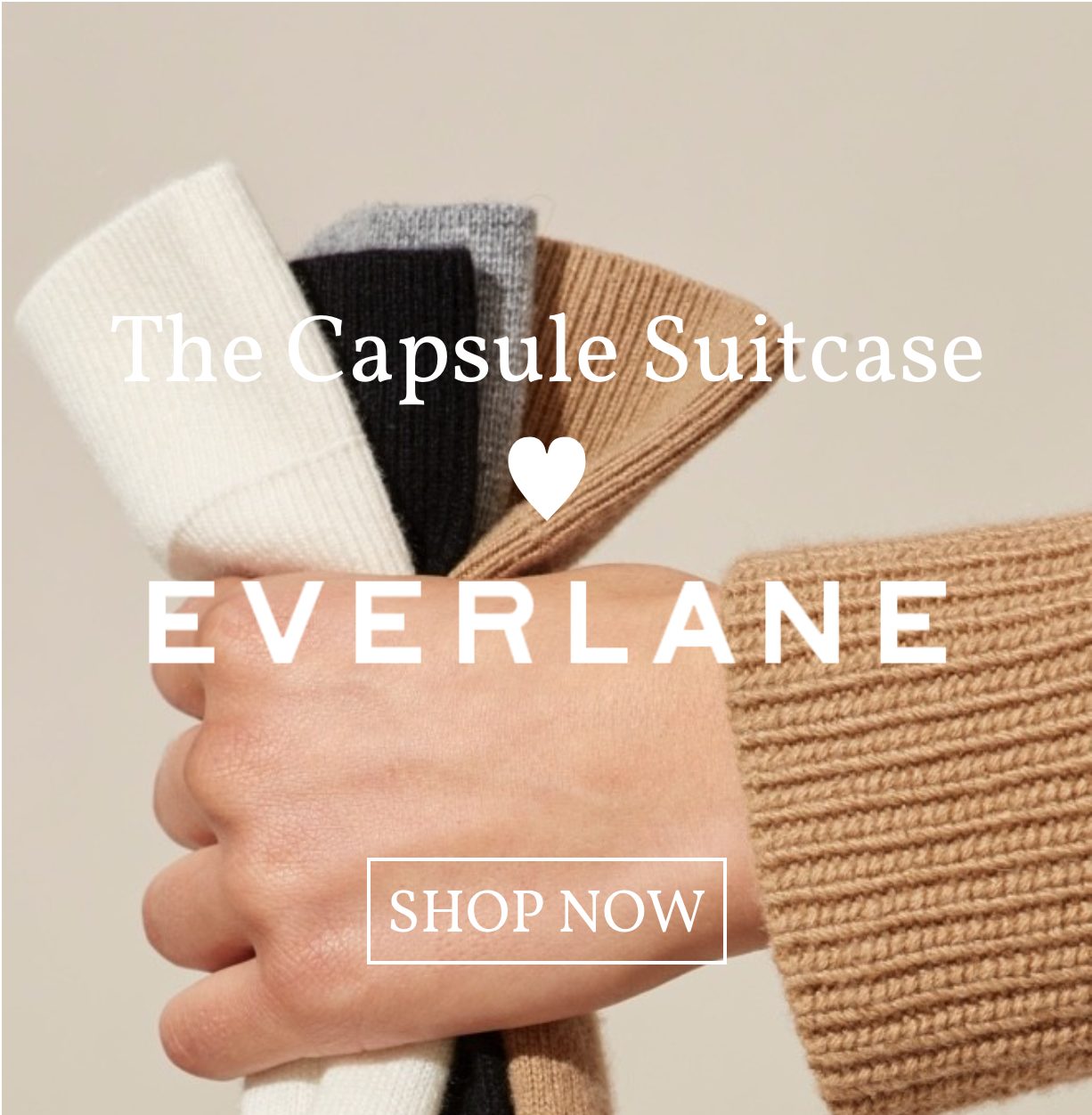 capsule suitcase loves everlane