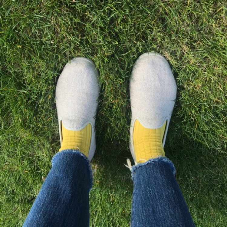 allbirds loafers